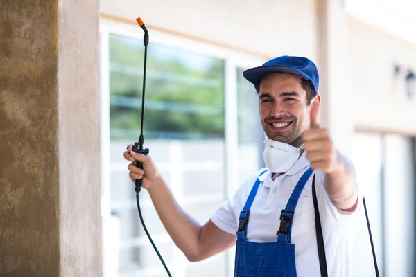 Fulshear Wasp Removal