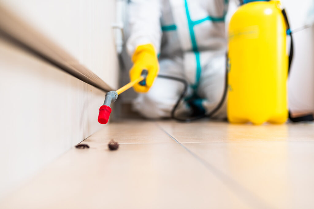 Fulshear Cockroach Experts