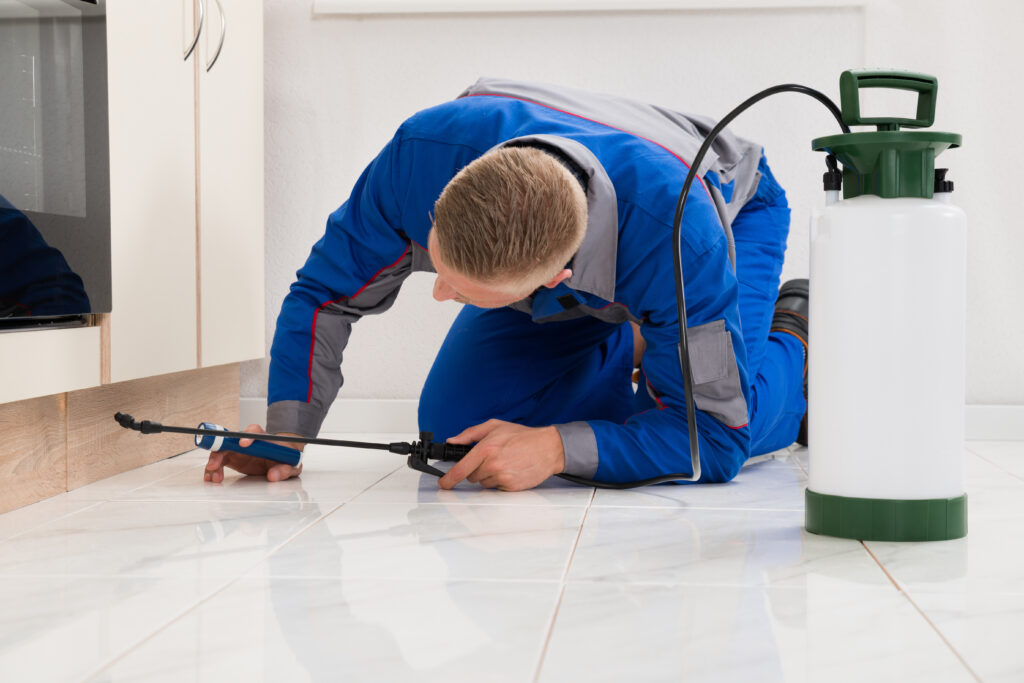 Fulshear Ant Control Xperts