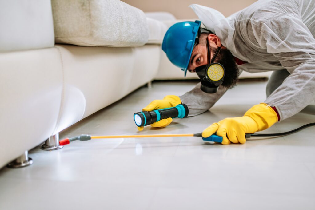 Fulshear Termite Control