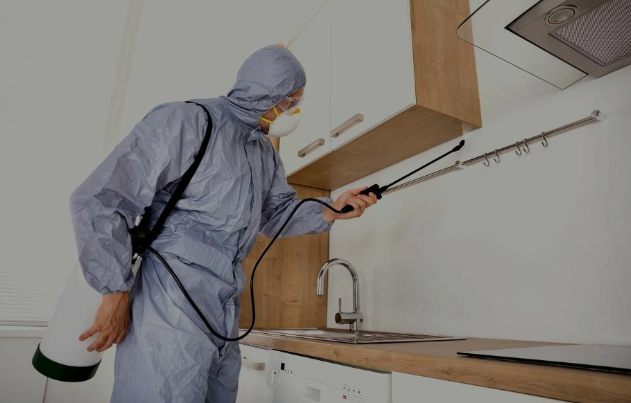 Fulshear pest managment